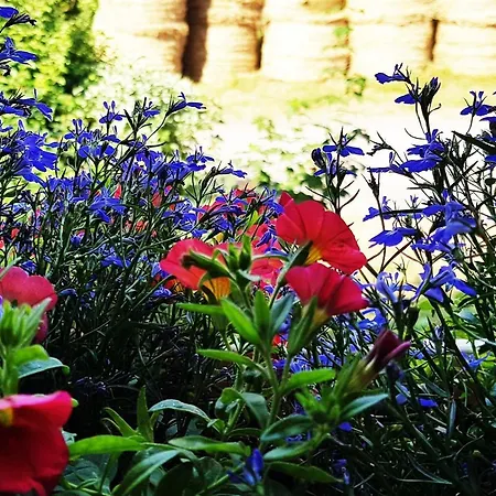 ⁂⁂ Les Herables Cledicihome De Charme // Jaccuzi // Salle De Jeux ⁂⁂ Σπίτι διακοπών Granges-sur-Vologne